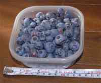 blueberry-20180701_01.jpg