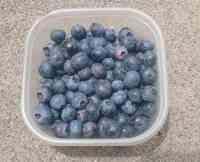 blueberry-20180711_02.jpg
