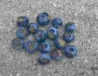 blueberry-20190710_02.jpg