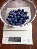 blueberry-20210714_02.jpg