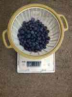 blueberry-20220713_01.jpg