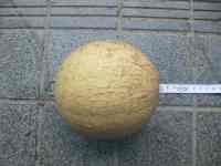 melon-20220821_01.jpg
