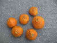 mikan-20221126_01.jpg