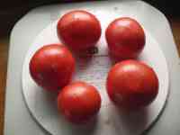 tomato-20160717_02.jpg