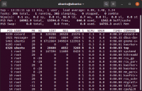 ubuntu-top.png